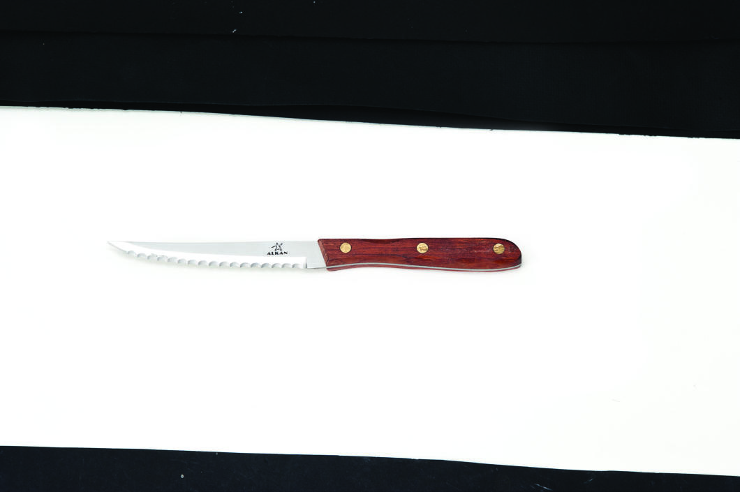ST 01 — STEAK BIÇAK 22,5 cm