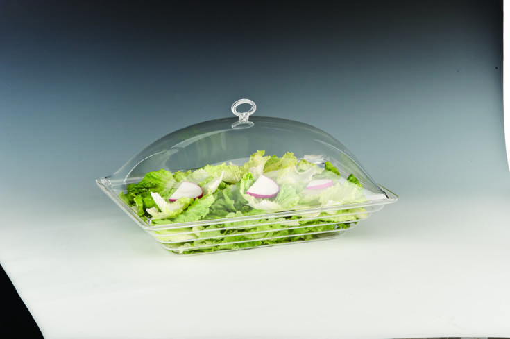 ZCP 450 — POLYCARBONAT KAPAKLI MUHAFAZA KABI - 43,5 x 28,5 cm