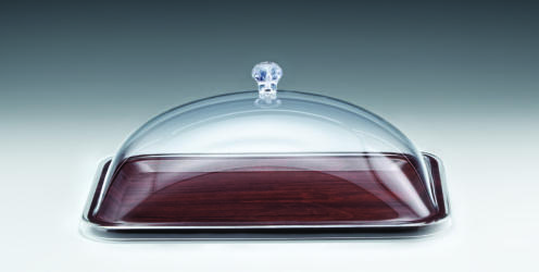 ZCP 510 — ALFORM TEPSİLİ MUHAFAZA KABI - 24 x 35 cm