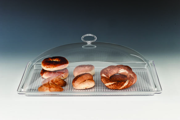 ZCP 153 — POLYCARBONAT TEPSİLİ MUHAFAZA KABI / BÜYÜK 35 x 55 x H: 17 cm