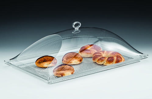 ZCP 517 — POLYCARBONAT TEPSİLİ MUHAFAZA KABI / BÜYÜK 35 x 55cm