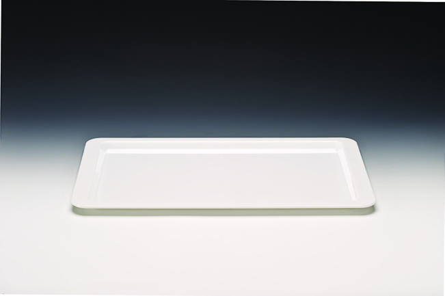 ZCP 600 / 2 — POLYCARBONAT TEŞHİR TEPSİ 32,5 x 53 cm