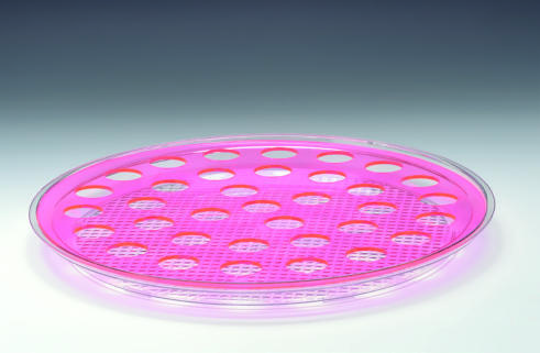 ZCP 313 — POLYCARBONAT TEPSİLİ SHOT SERVİSİ / 35’Lİ - Ø 42 cm