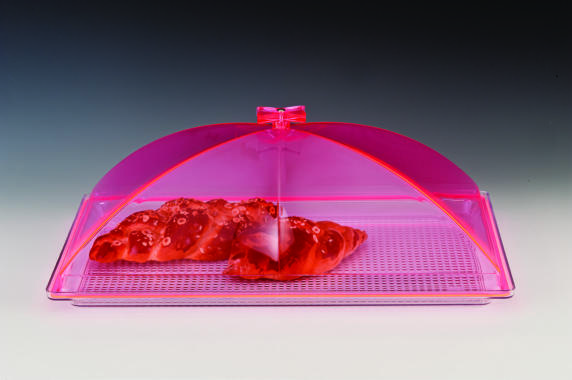 ZCP 375 - P — POLYCARBONAT TEPSİLİ, AKRİLİK KAPAKLI MUHAFAZA KABI / BÜYÜK 35 x 55 cm