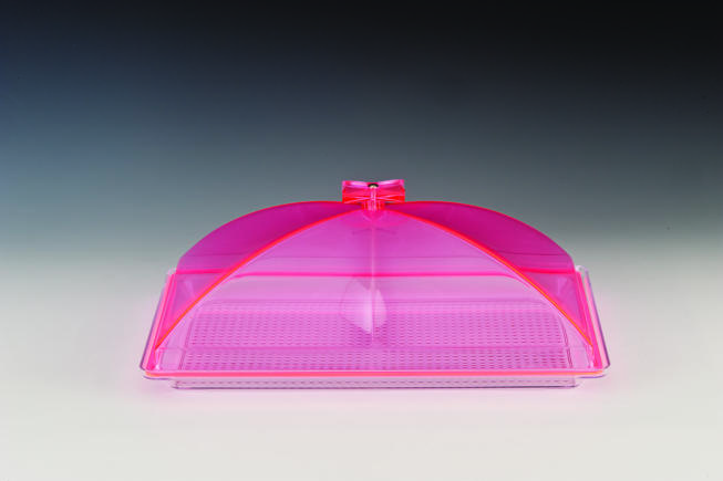 ZCP 373 - P — POLYCARBONAT TEPSİLİ, AKRİLİK KAPAKLI MUHAFAZA KABI / KÜÇÜK 28 X 43 cm