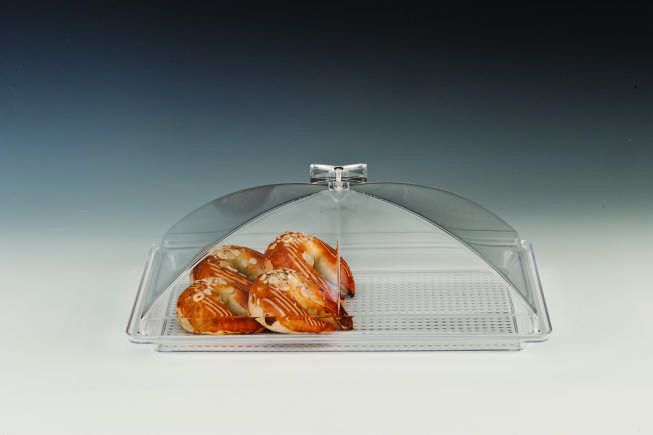 ZCP 377 — POLYCARBONAT TEPSİLİ, AKRİLİK KAPAKLI MUHAFAZA KABI / KÜÇÜK 28 X 43 cm