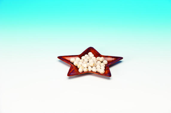 WH 701 S — BAMBU ÇEREZLİK 14 cm