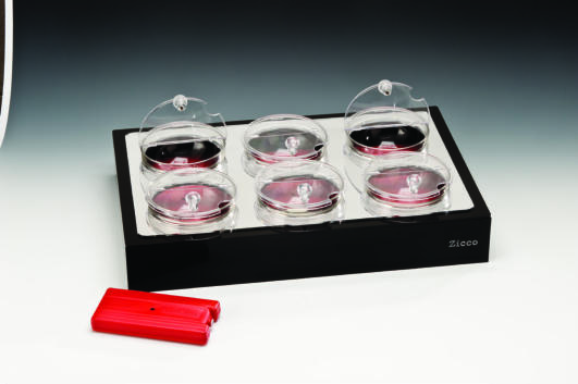 ZCP 332 — CAM KASELİ POLYCARBONAT KAPAKLI SOĞUTUCULU TEŞHİR STANDI 57 x 37 x H: 10 cm