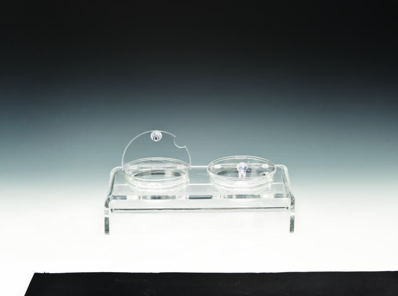 ZCP 287 — CAM KASELİ POLYCARBONAT KAPAKLI TEŞHİR STANDI 39 x 19 cm / KASE Ø 14 cm