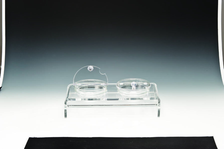 ZCP 287 — CAM KASELİ POLYCARBONAT KAPAKLI TEŞHİR STANDI 39 x 19 cm / KASE Ø 14 cm
