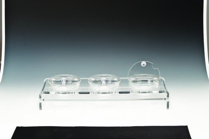 ZCP 288 — CAM KASELİ POLYCARBONAT KAPAKLI TEŞHİR STANDI 57 x 19 cm / KASE Ø 14 cm 108