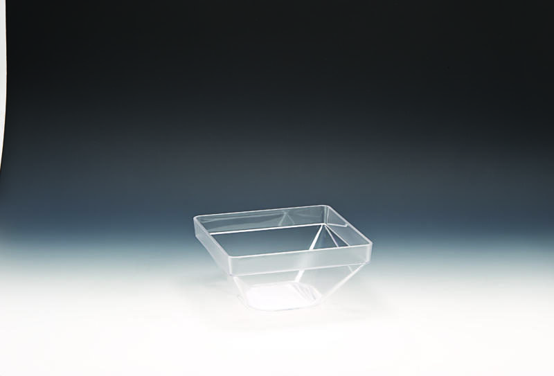 ZCP 559 / 1 — POLYCARBONAT KASE 22 x 22 x H: 11cm