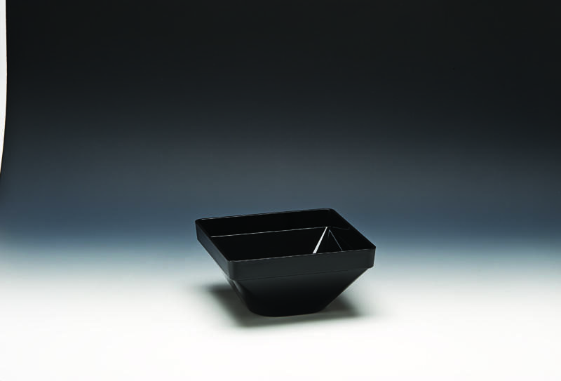 ZCP 559 / 3 — POLYCARBONAT KASE 22 x 22 x H: 11cm