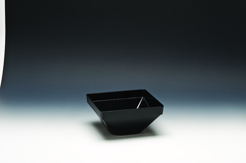 ZCP 559 / 3 — POLYCARBONAT KASE 22 x 22 x H: 11cm
