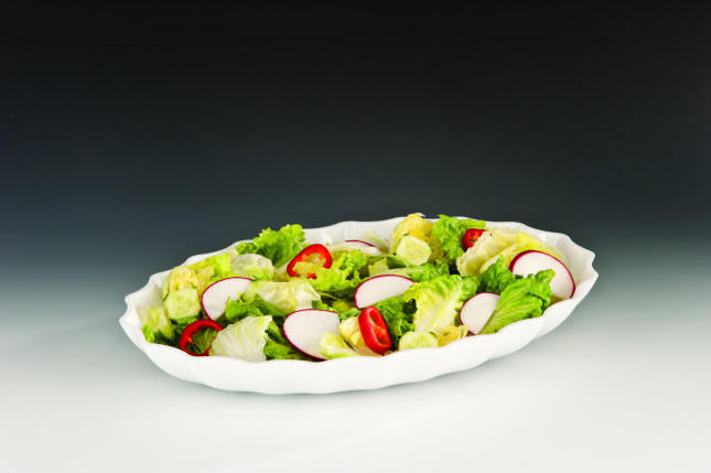ZCP 296 - 2 — POLYCARBONAT TEŞHİR TABAK 41,5 x 29,5 H: 5,5 cm
