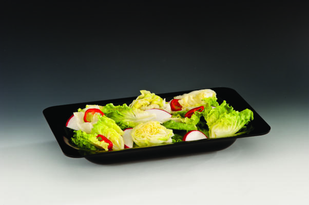 ZCP 298 - 3 — POLYCARBONAT TEŞHİR TABAK 40 x 26 x H: 6,5 cm 92