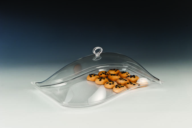 ZCP 054/S — AKRİLİK MUHAFAZA KABI / S 44 X 28 x H: 16 cm