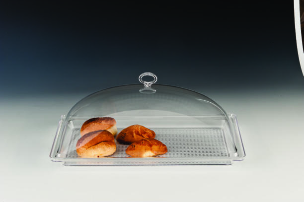 ZCP 554 — KOMPLE POLYCARBONAT MUHAFAZA KABI / KÜÇÜK 28 X 43 cm