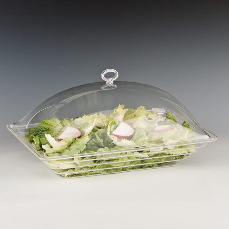 ZCP 450 — POLYCARBONAT KAPAKLI MUHAFAZA KABI - 43,5 x 28,5 cm
