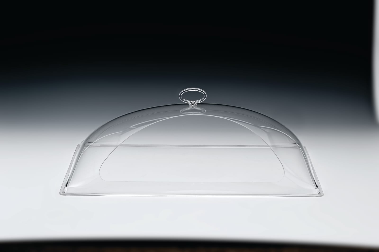 ZCP 153 — POLYCARBONAT TEPSİLİ MUHAFAZA KABI / BÜYÜK 35 x 55 x H: 17 cm