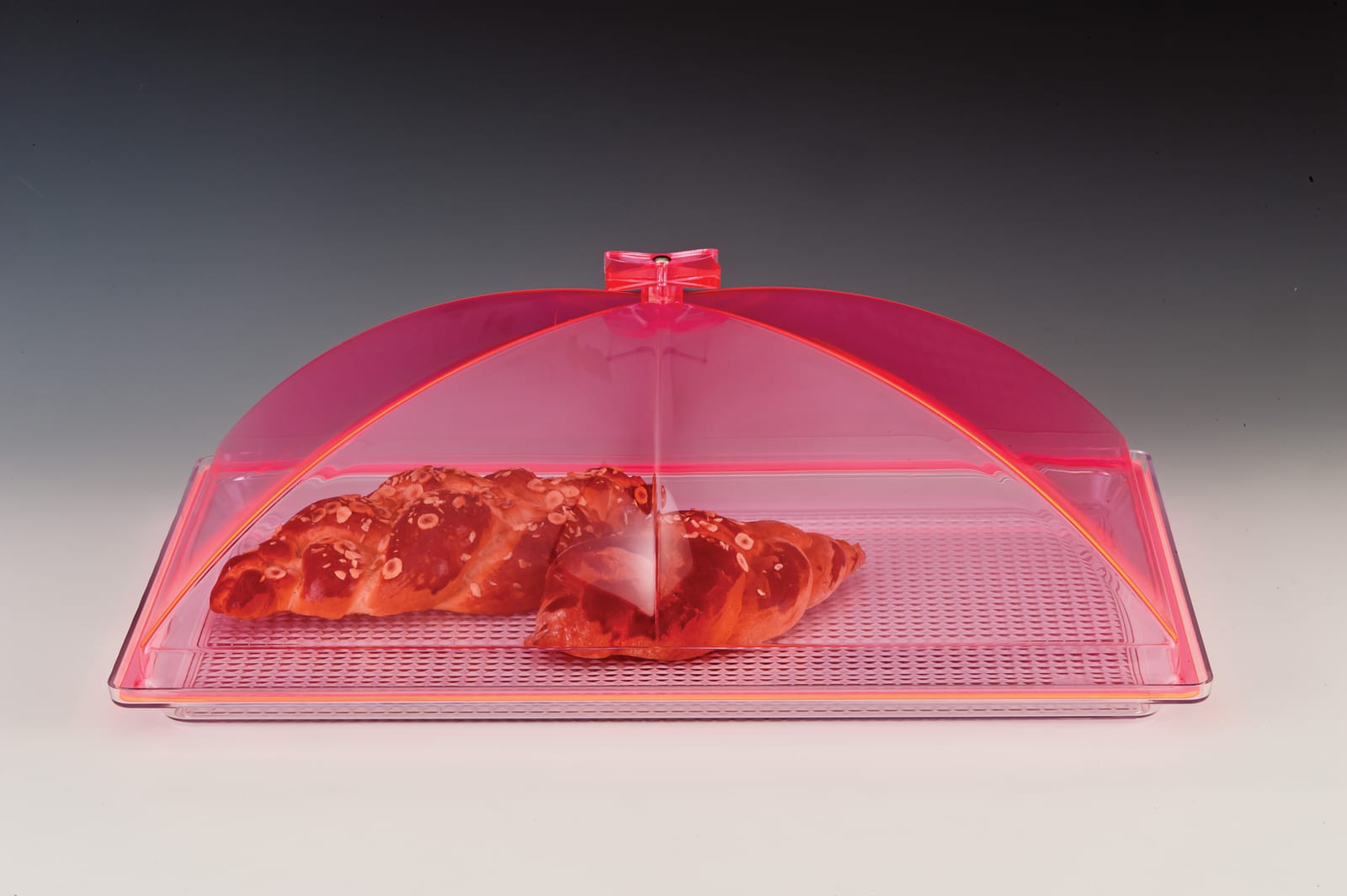 ZCP 375 - P — POLYCARBONAT TEPSİLİ, AKRİLİK KAPAKLI MUHAFAZA KABI / BÜYÜK 35 x 55 cm