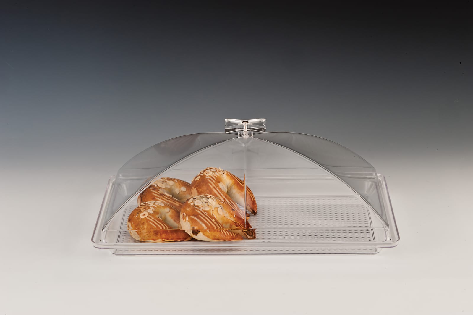 ZCP 377 — POLYCARBONAT TEPSİLİ, AKRİLİK KAPAKLI MUHAFAZA KABI / KÜÇÜK 28 x 43 cm