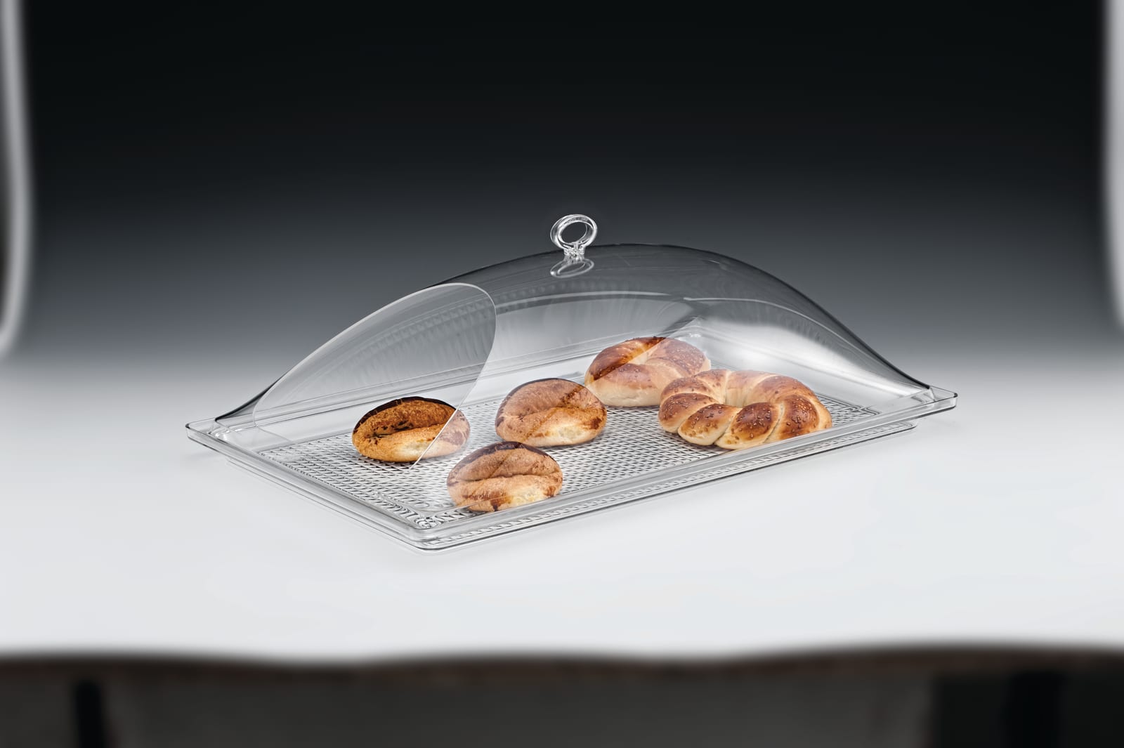 ZCP 517 — POLYCARBONAT TEPSİLİ MUHAFAZA KABI / BÜYÜK 35 x 55 cm