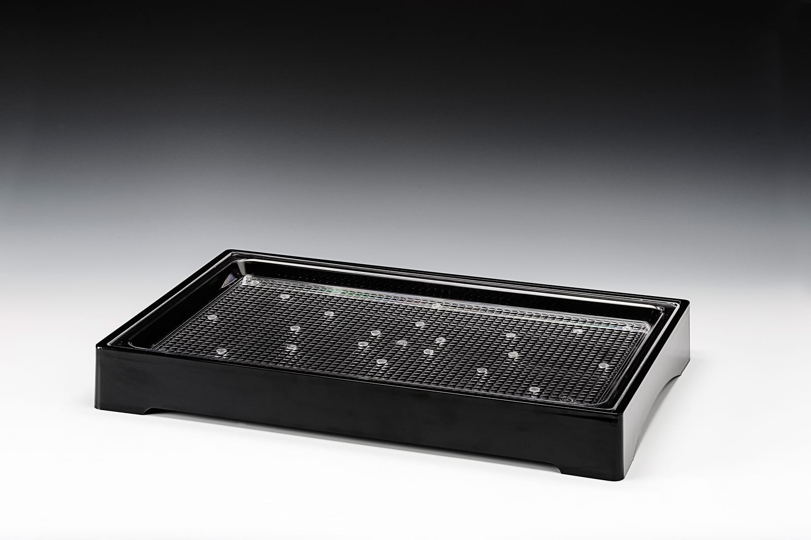 ZCP 658 — POLYCARBONAT KARPUZ TEPSİSİ 55 x 35 cm
