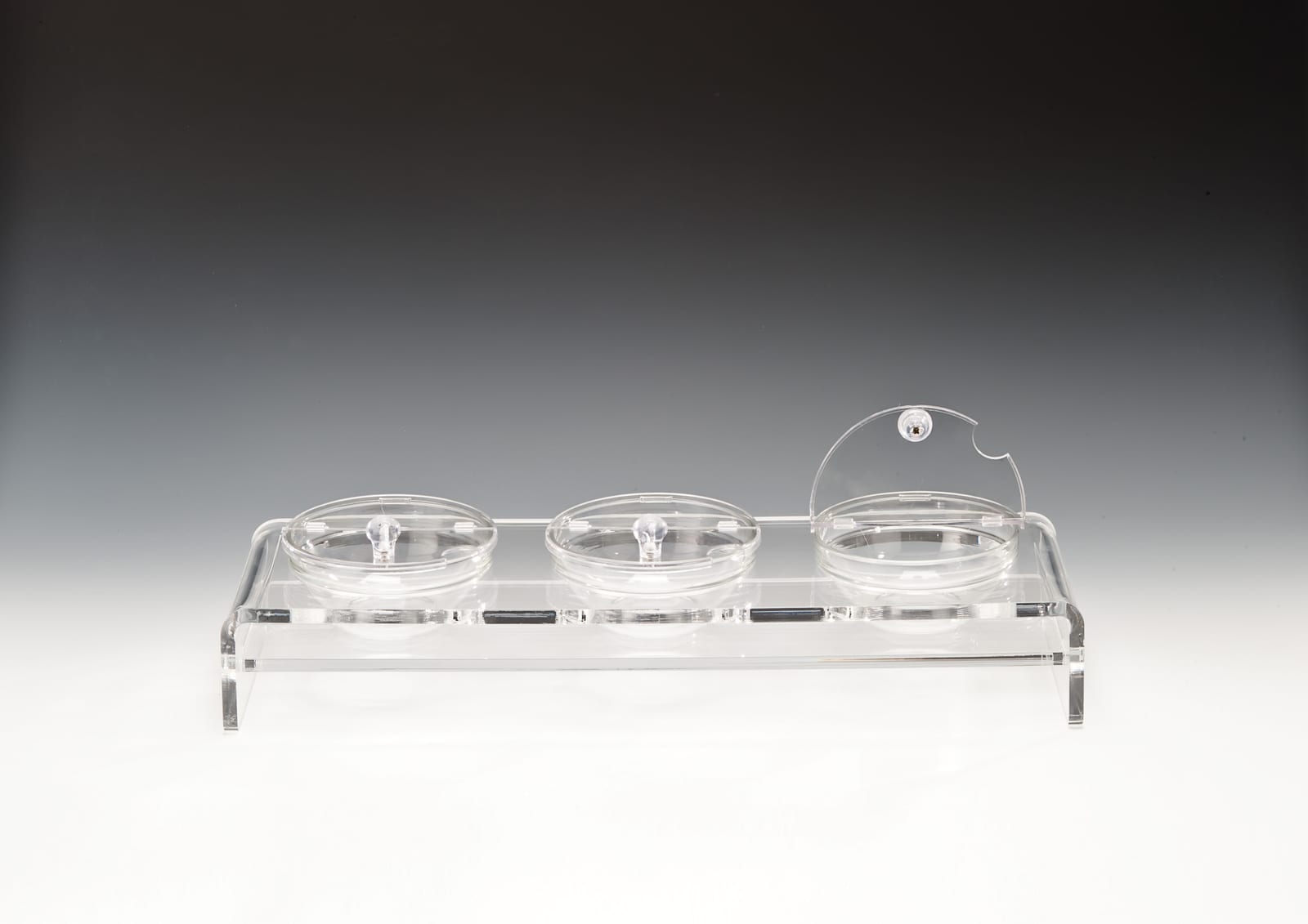 ZCP 288 — CAM KASELİ POLYCARBONAT KAPAKLI TEŞHİR STANDI 57 x 19 cm / KASE (BOWL) Ø 14 cm